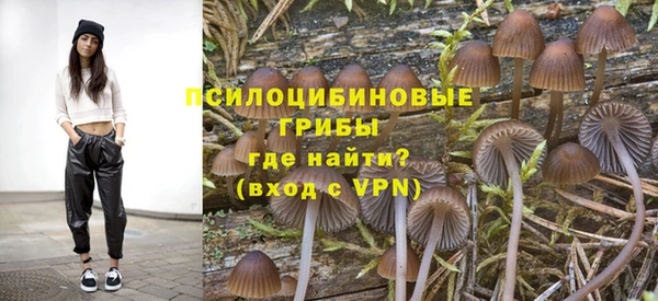 тгк Армянск
