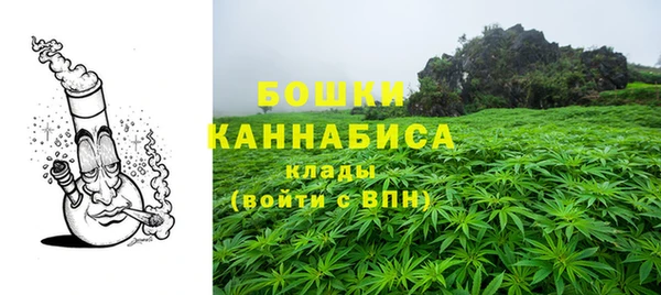 сатива Арсеньев