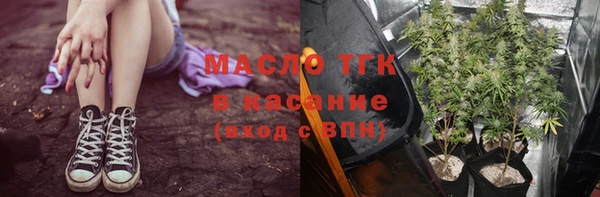 сатива Арсеньев