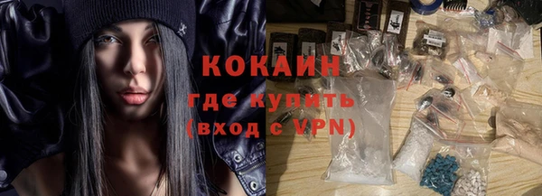 сатива Арсеньев