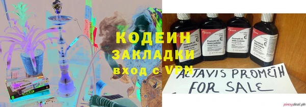 сатива Арсеньев