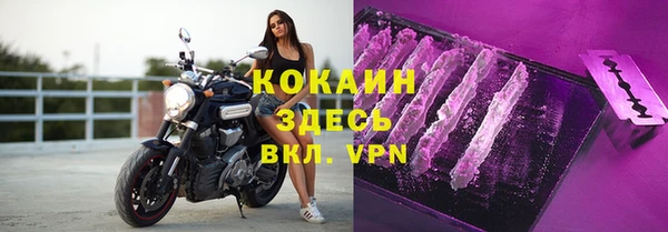 сатива Арсеньев